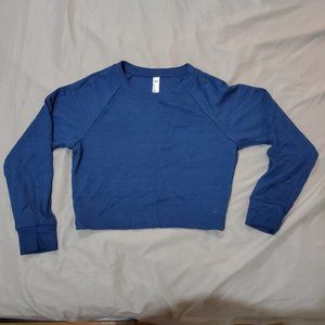 American Apparel Long Sleeved Crop Top